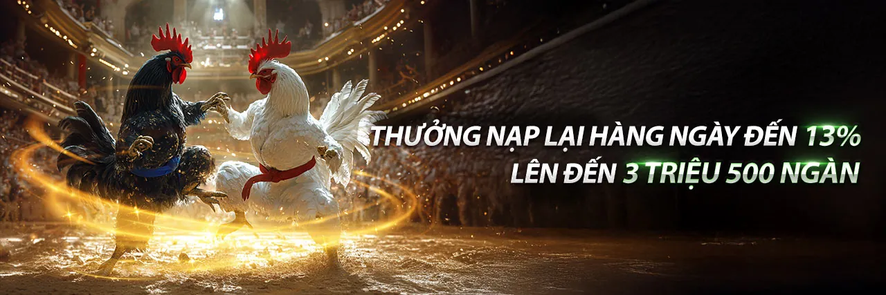 Hình nền đá gà trực tiếp kịch tính